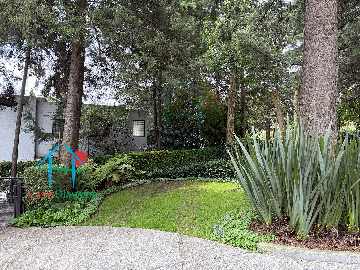 Rancho San Francisco Casa Encino - Estacionamiento 7